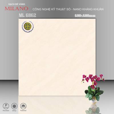 Gạch Lát Nền Vicenza 60x60cm ML 6862 		