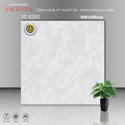 Gạch Ốp Vicenza Men Bóng 60x60cm VC 6365 		