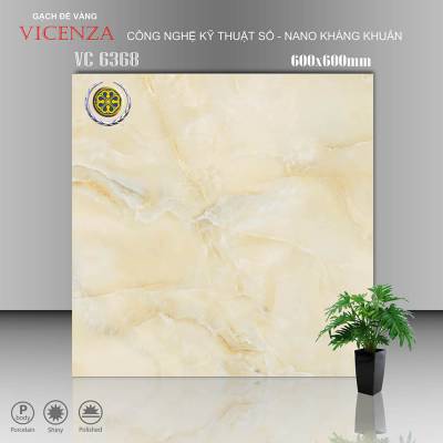 Gạch Ốp Vicenza Men Bóng 60x60cm VC 6368 		