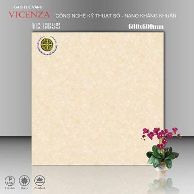 Gạch Ốp Vicenza Men Bóng 60x60cm VC 6655 		