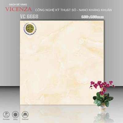 Gạch  Ốp Vicenza Men Bóng 60x60cm VC 6668 		