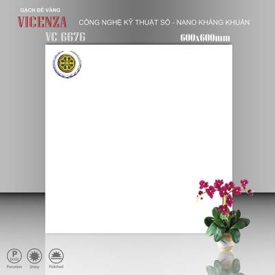 Gạch Ốp Vicenza Men Bóng 60x60cm VC 6676 		