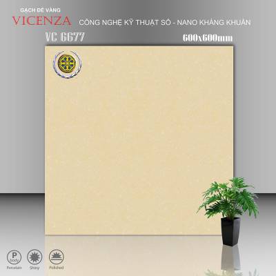 Gạch Ốp Vicenza Men Bóng 60x60cm VC 6677 		