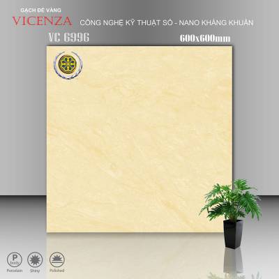 Gạch Ốp Vicenza Men Bóng 60x60cm VC 6996 		