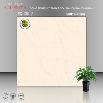 Gạch Ốp Vicenza Men Bóng 60x60cm VC 6997 		