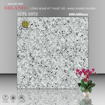 Gạch Ceramic Vicenza 60x60cm VCTK-6972 		