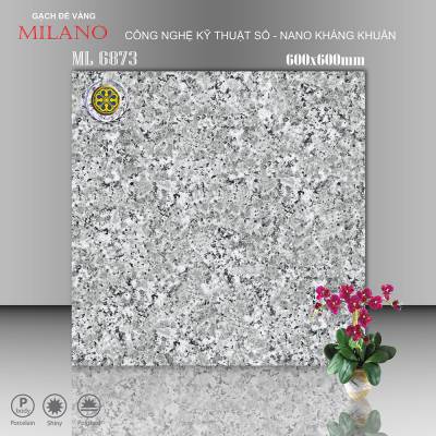 Gạch Lát Nền Vicenza 60x60cm ML 6873 		