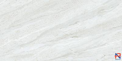 Gạch Nhập Khẩu Ấn Độ 30x60 NP3537 - D