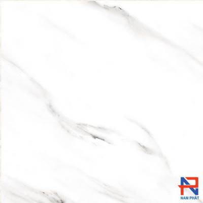 Gạch  Ốp Lát Ấn Độ Nhập Khẩu 80x80 CARARA