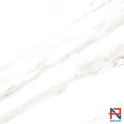 Gạch  Ốp Lát Ấn Độ Nhập Khẩu 80x80 CALCUTTA WHITE