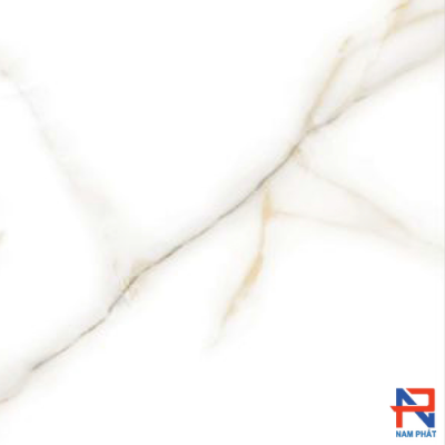 Gạch  Ốp Lát Ấn Độ Nhập Khẩu 80x80 CITYLINE WHITE
