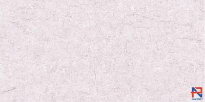 Gạch Ốp Tường  Bạch Mã 30x60 H36019