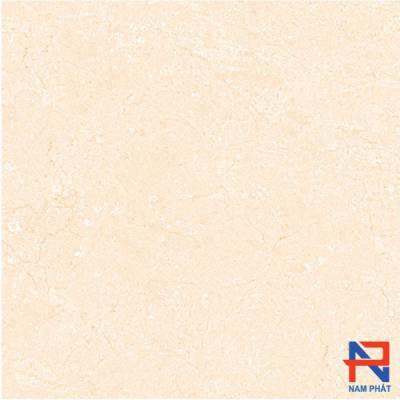 Gạch Lát Nền Bạch Mã 60x60 M6005