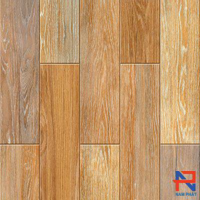 Gạch Lát Nền Catalan 60x60 NPCT6110