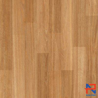 Gạch Lát Nền Catalan 60x60 NPCT6121