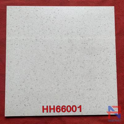Gạch lát sàn terrazzo NPTR6601