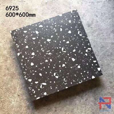 Gạch terrazzo lát nền NPTR6925