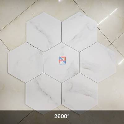 Gạch lục giác NLG007