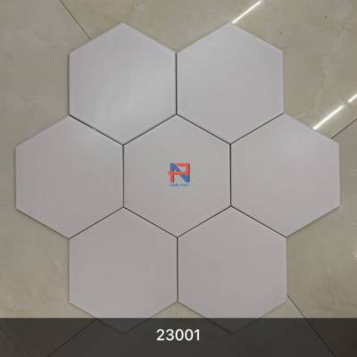 Gạch lục giác NLG008