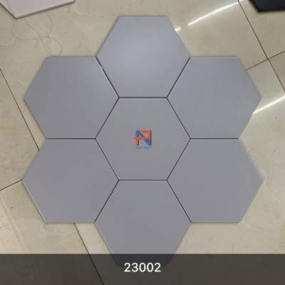 Gạch lục giác NLG009