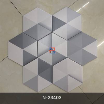 Gạch lục giác NLG013