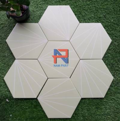 Gạch lục giác NLG016