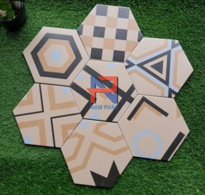 Gạch lục giác NLG020