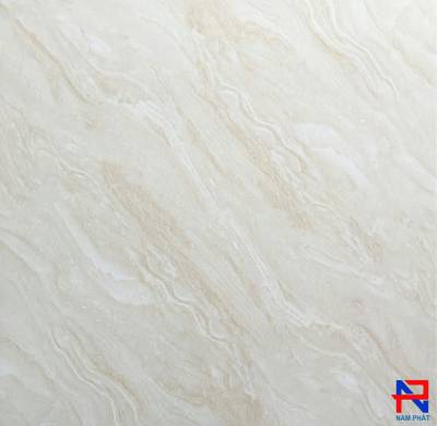 Gạch Lát Nền NPG 60x60 NPCSP6001