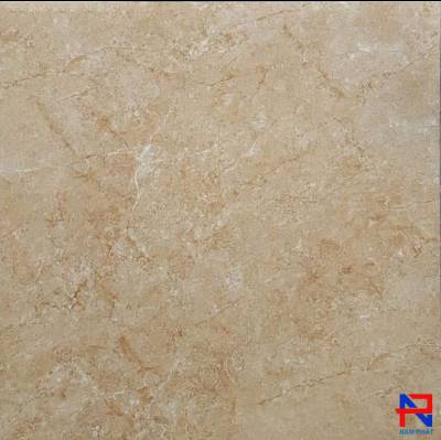 Gạch Lát Nền NPG 80x80 NPEU801