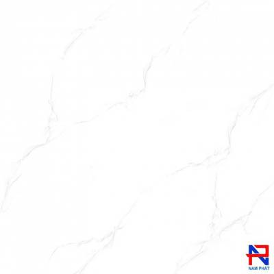 Gạch Lát Nền NPG 80x80 NPV8037