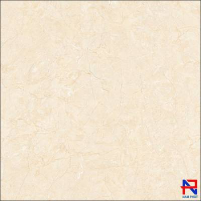 Gạch Lát Sàn 60x60 NPE6005