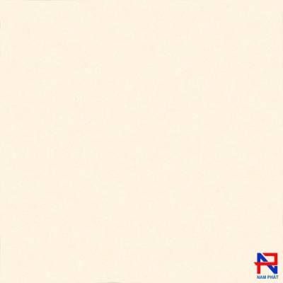 Gạch NPG 60x60 NPE6011
