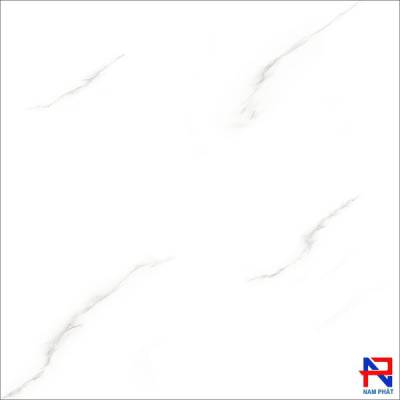 Gạch NPG 60x60 NPE6017