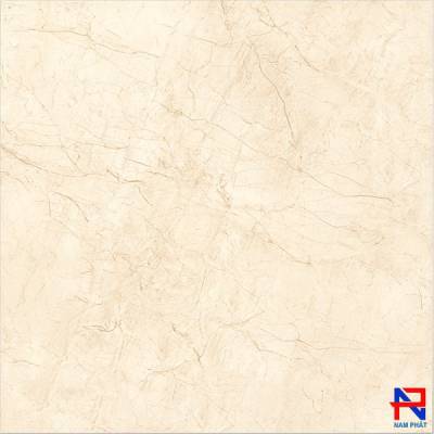 Gạch NPG 60x60 NPE6030