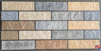 Gạch Thẻ CMC Ốp Tường 30x60 CMC3602