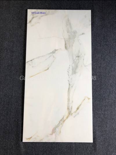 Gạch nhập khẩu 60x120 cao cấp Ấn Độ vân đá bóng kiếng đẹp