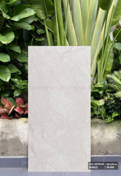 Gạch vân đá 60x120 matt Ấn Độ men mờ lát phòng khách đẹp