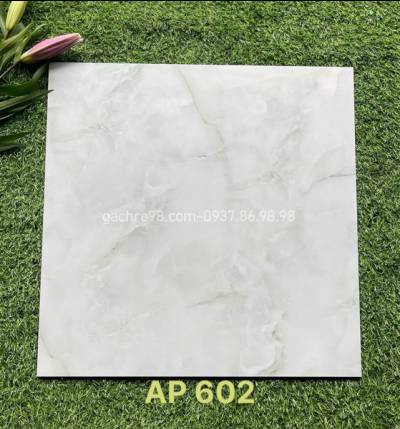 Gạch 60x60 Trung Nguyên AP602