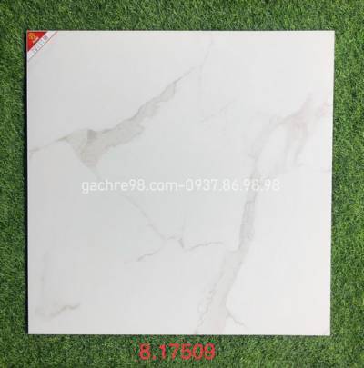 Gạch prime 80x80 17509