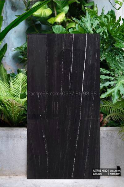 Gạch đen vân trắng giá rẻ 60x120 Ấn Độ ốp tường tạo điểm nhấn đẹp