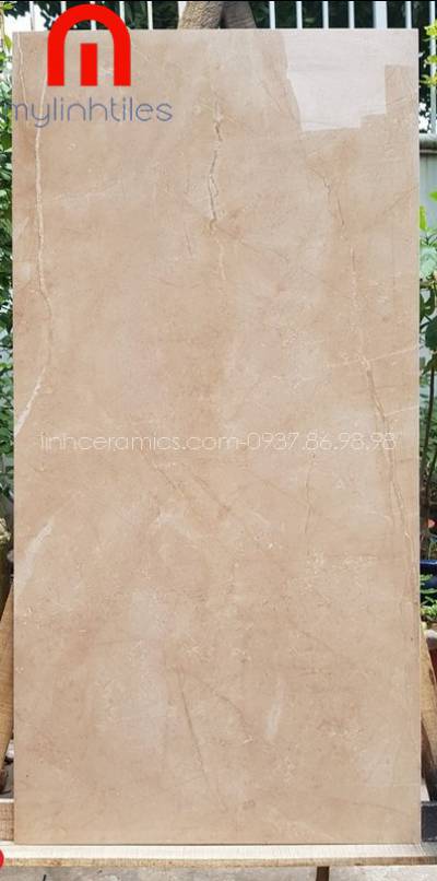 Gạch ốp tường 60x120 vân đá cao cấp