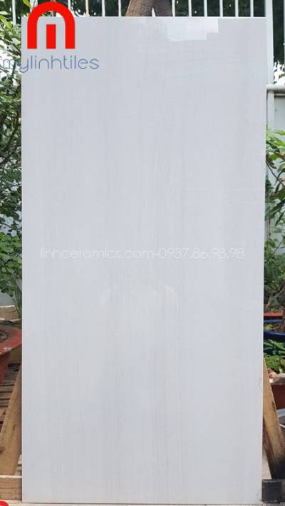 Gạch ốp tường 60x120 phòng khách sang trọng