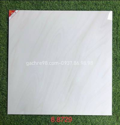 Gạch prime 80x80 8729