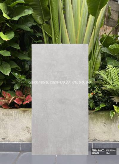 Gạch khổ lớn 600x1200 cao cấp lót sàn