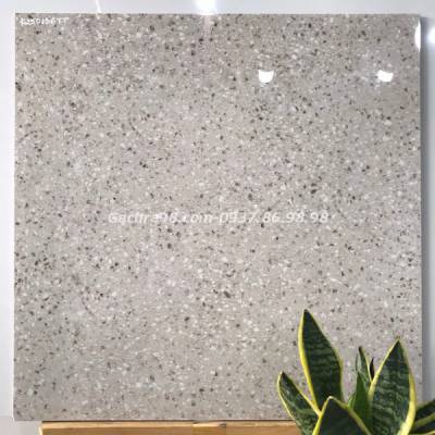 Gạch cao cấp ấn độ 60x60 giả đá terrazzo