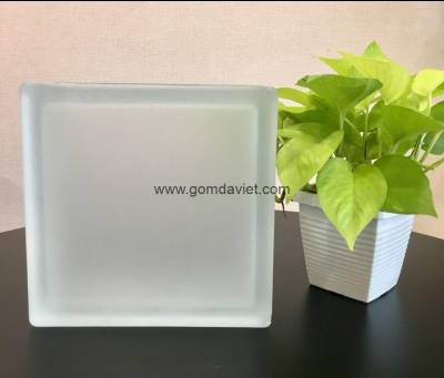 Gạch kính lấy sáng 06