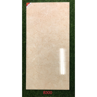 GẠCH CAO CẤP 60X120 PRIME 8300