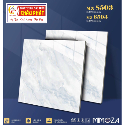 GẠCH LÁT NỀN 60X60 VICENZA MZ6503