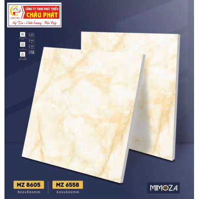 GẠCH LÁT NỀN 60X60 VICENZA MZ6558