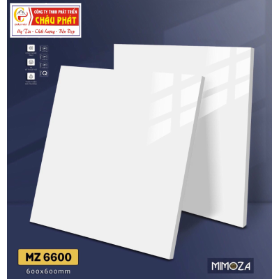 GẠCH LÁT NỀN 60X60 VICENZA MZ6600